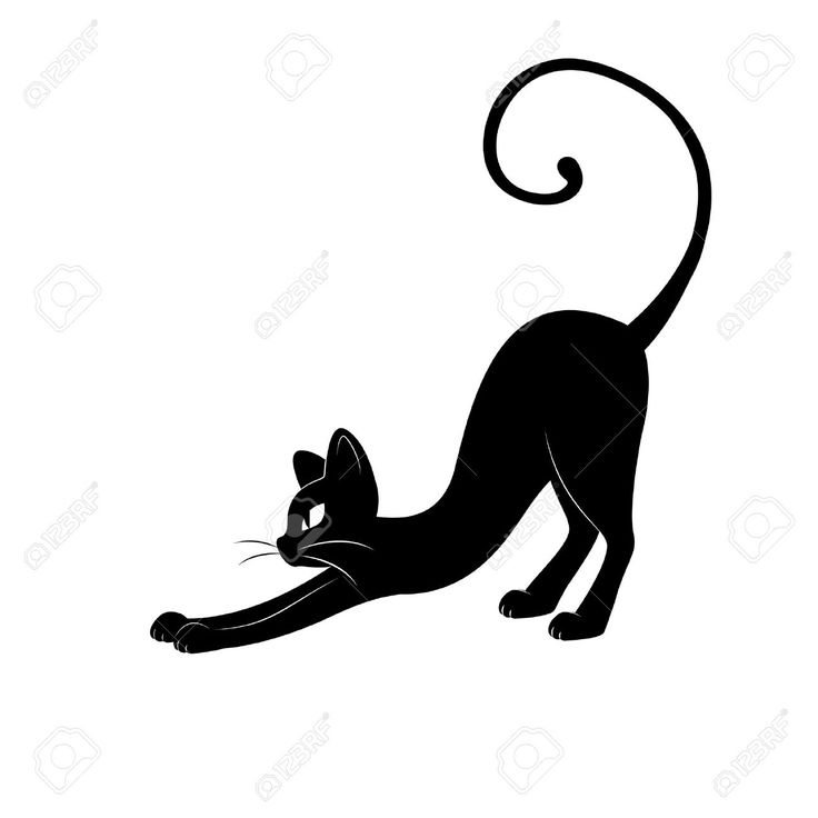 736x736 29 Best Cats Images On Silhouette, Black Cat