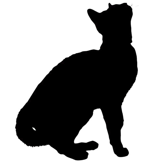 640x640 9.912.7cm Cat Silhouette Kitten Car Decal Window Sticker Cute