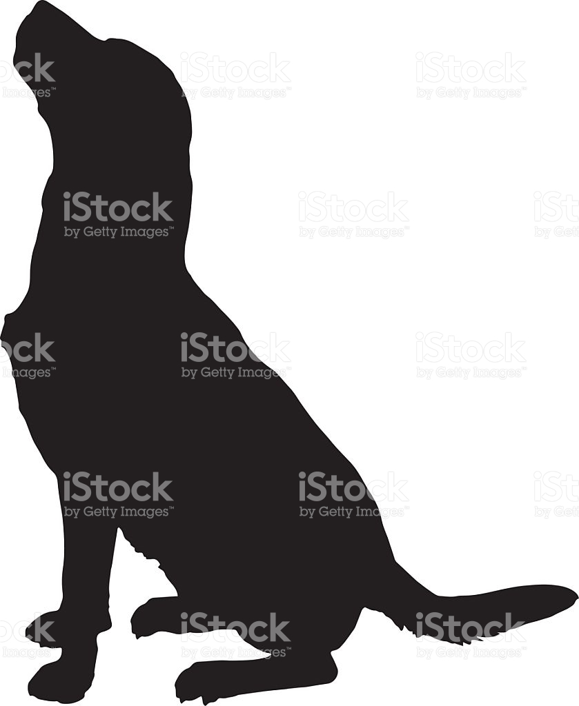 839x1024 Labrador Clipart Cute Dog
