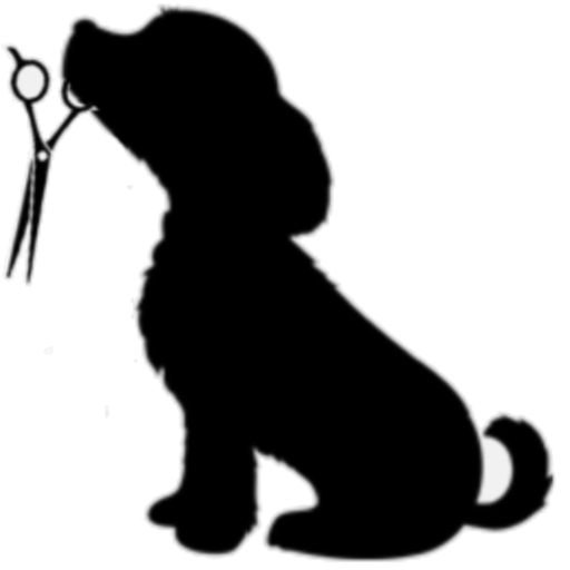 512x512 Pet Grooming, Pet Groomer