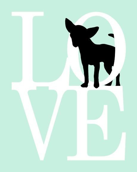 460x576 Chihuahua Art Print