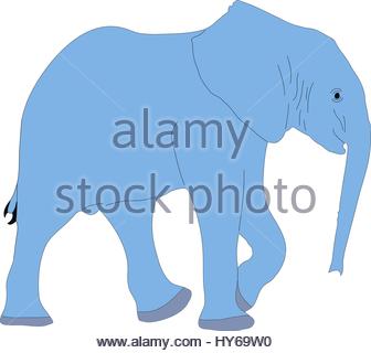 336x320 Hand Drawn Illustration Or Drawing Of An Elephant Head Silhouette