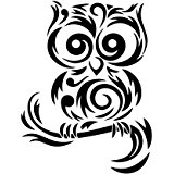 160x160 Owl Sticker Vinyl Cut Out Decal Cute Car Truck Window