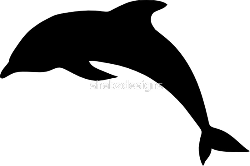 800x534 Cute Dolphin Silhouette Art Prints By Shabzdesigns Redbubble
