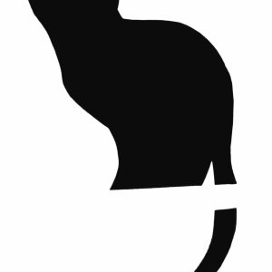 300x300 Home Design Magnificent Cute Halloween Witch And Cat Silhouette