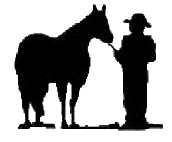 344x285 Ksk Quarter Horses