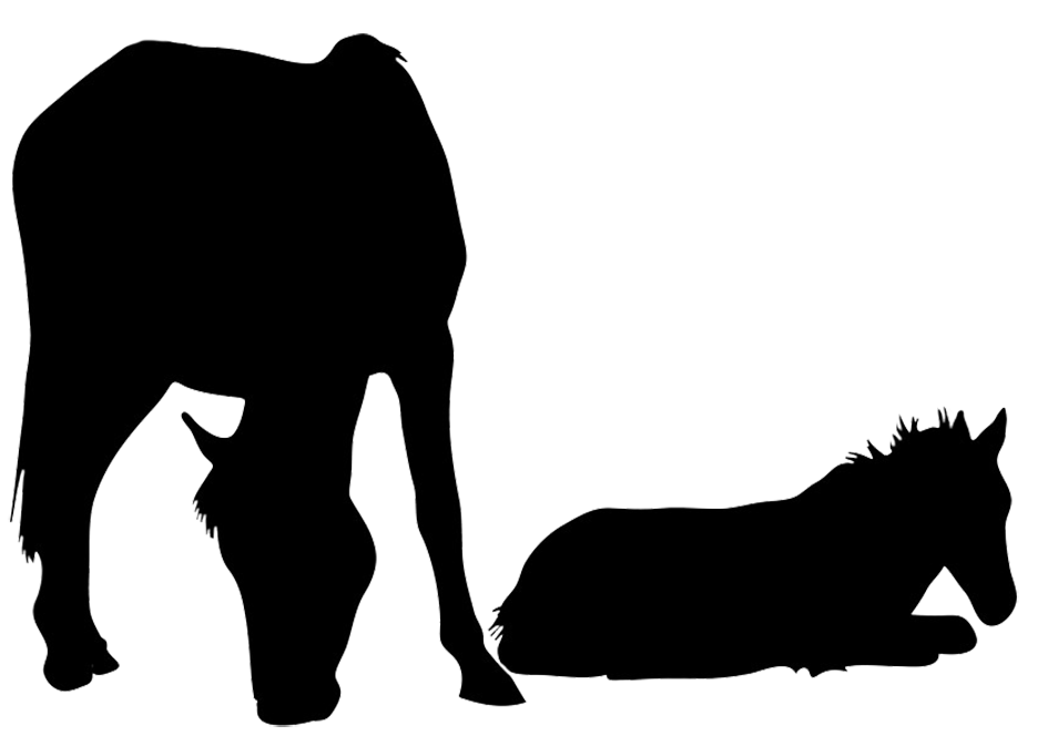 945x673 Pin By Deborah Rochelle On Byrds Silhouettes, Horse