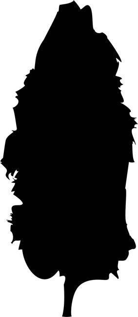 283x650 Cypress Tree Stencils