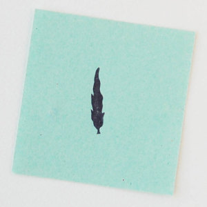 300x300 Cypress Trees Etsy Uk