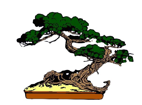 587x435 Bonsai Clipart Cypress Tree