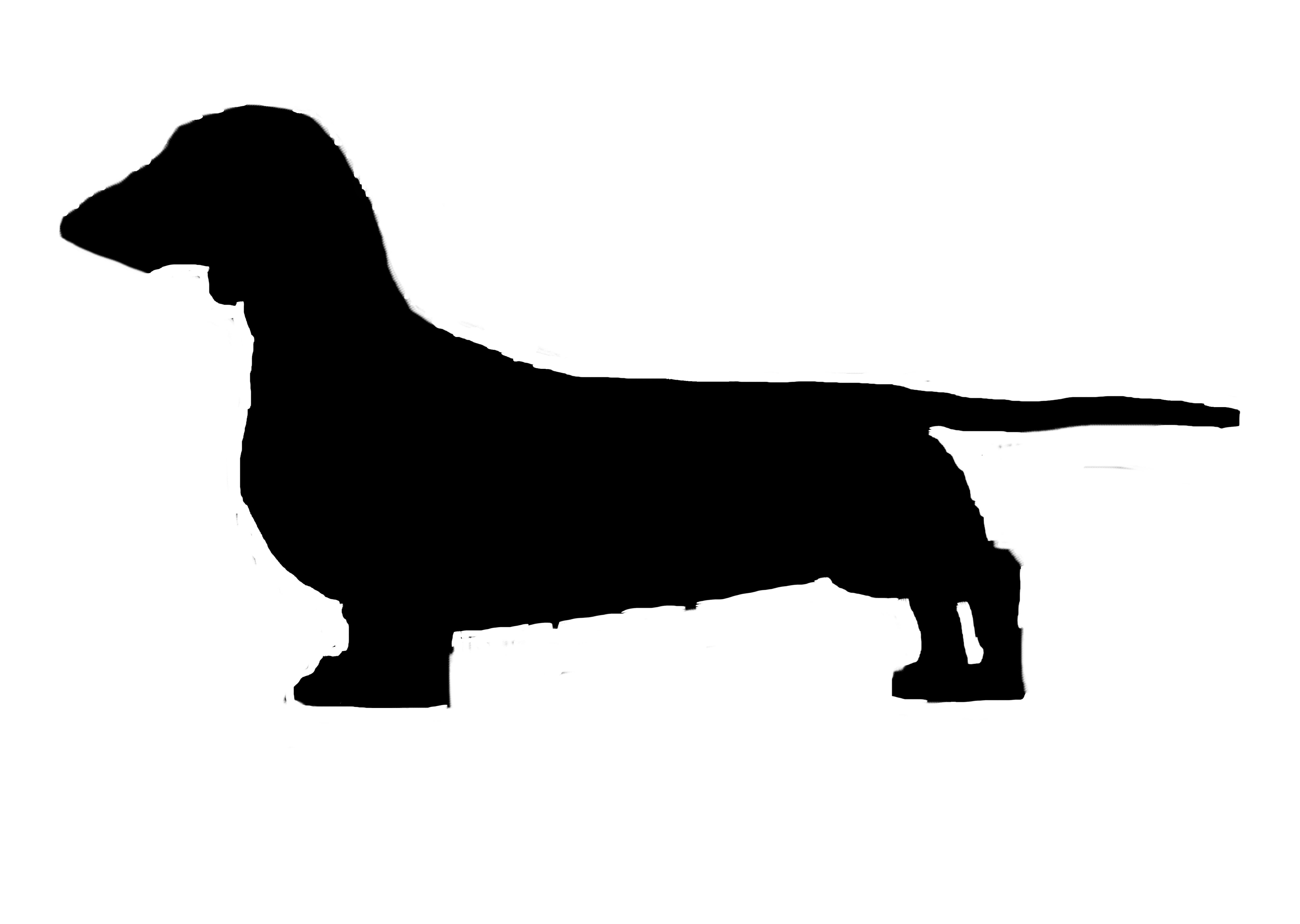 5472x3888 Dachshund Silhouette Vinyl Sticker Decal