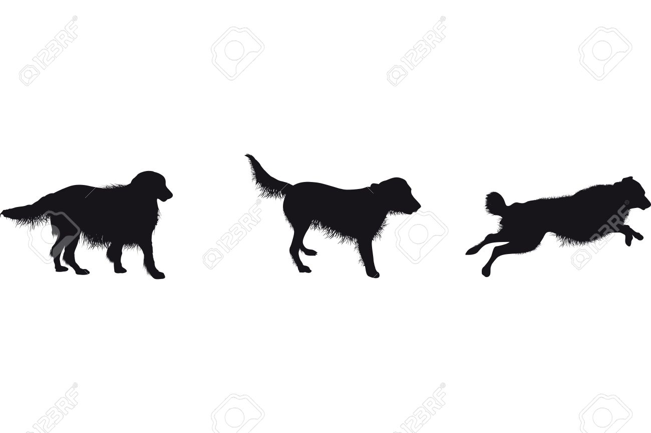 1300x866 Dachshund Clipart