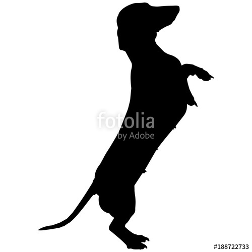 500x500 Dachshund Dog Silhouette Vector Graphics Stock Image And Royalty