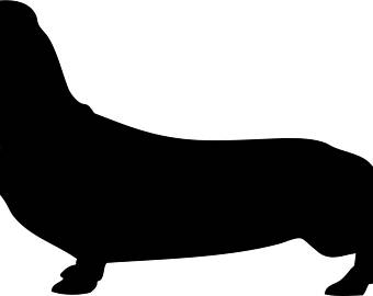 340x270 Dachshund Quote Etsy