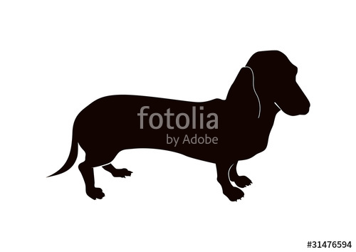 500x354 Dachshund Silhouette Stock Image And Royalty Free Vector Files