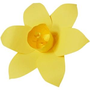 300x300 Silhouette Design Store