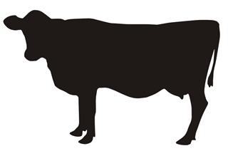 320x212 Cow Silhouette V3 Decal Sticker