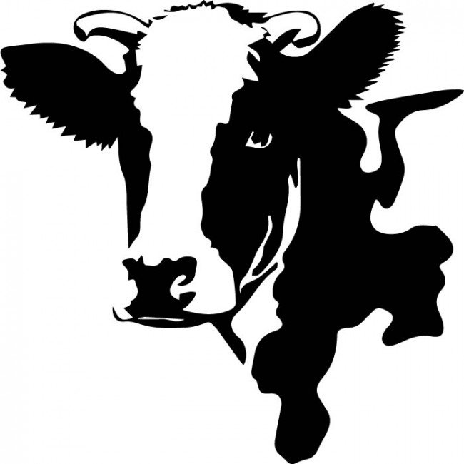650x650 Dairy Cow Head Clipart