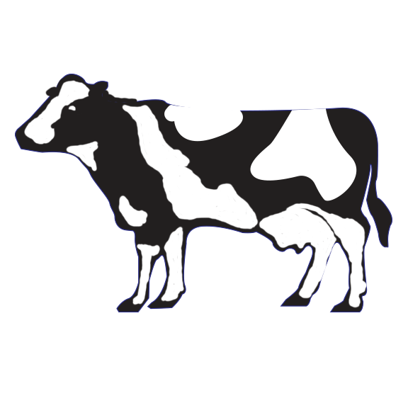 576x576 Arethusa Alec Green