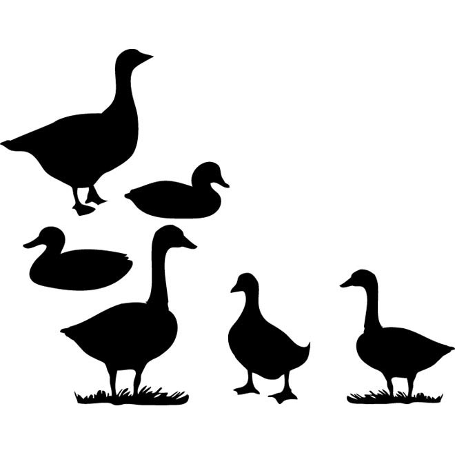 660x660 Duck Vector Art