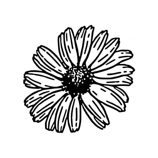 600x600 Daisy Clip Art Vector Clip Art Free Vector For Free Download
