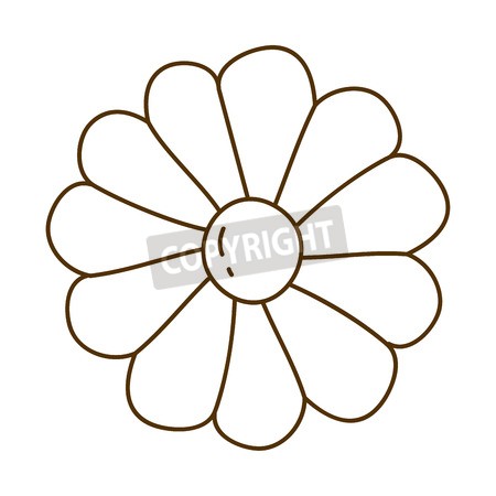 450x450 Vector Of Brown Silhouette With Daisy