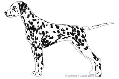 Dalmatian Silhouette at GetDrawings | Free download