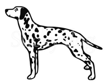 340x270 Spotted Coach Dog Etsy