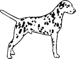 300x235 Dalmation Dog Silhouette Inspiration For Jayda's Room