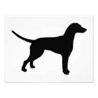 200x200 Dalmatian Art, Posters Amp Framed Artwork