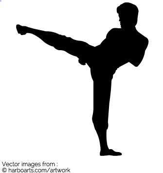 335x355 Download Bruce Lee High Kick