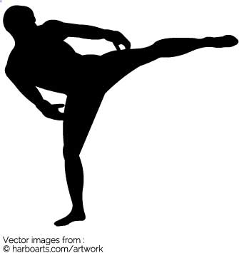 335x355 Download Martial Art Kick