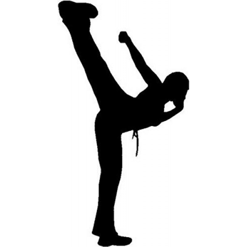 800x800 Karate High Side Kick Sport Wall Decor Art