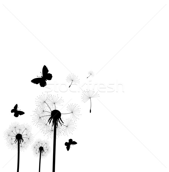 589x600 Dandelion Vector Stock Photos, Stock Images And Vectors Stockfresh