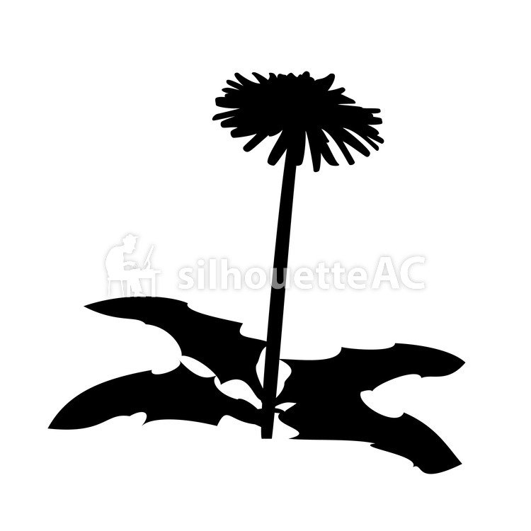 750x750 Free Silhouettes Dandelion, Icon, Simple