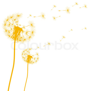 320x320 Hand Drawn Black Silhouette Dandelion On A White Background