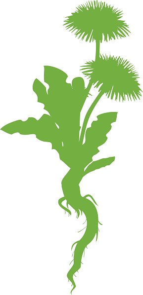 289x598 Silhouette Of Dandelion Premium Clipart