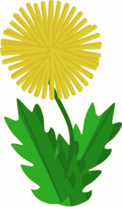 251x425 Dandelion Clip Art Vector, Free Vectors