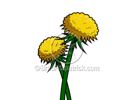 432x324 Dandelion Clipart Cartoon