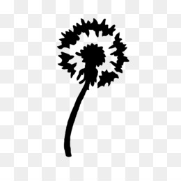 260x260 Portrait Photography Png And Psd Free Download