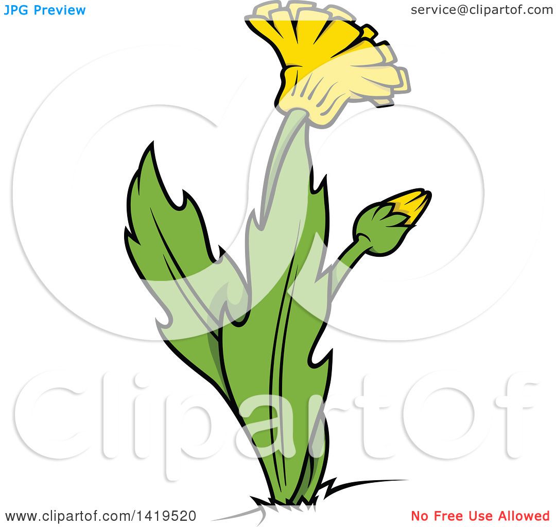 1080x1024 Clipart Of A Cartoon Dandelion Plant And Flower