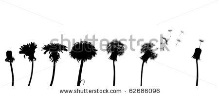 450x197 Dandelions Silhouettes Free Vector For Free Download About (12