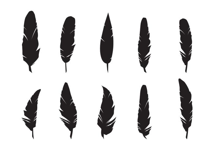 700x490 Feathers Silhouette Vector Set