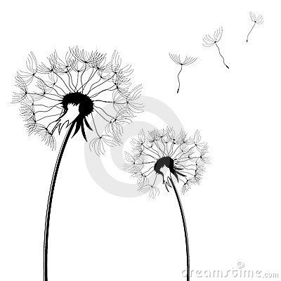 400x400 Dandelion 8428628.jpg Dandilions Dandelions