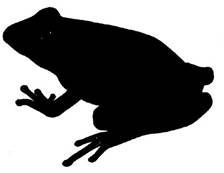 224x173 Silhouette Clip Art Dart Frog