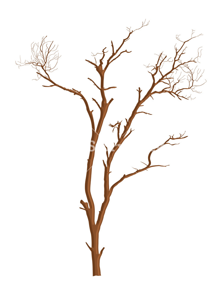 751x1000 Dead Tree Vector Shape Design Royalty Free Stock Image