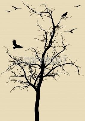 283x400 168 Best Wallflower Silhouettes Images On Murals, Home