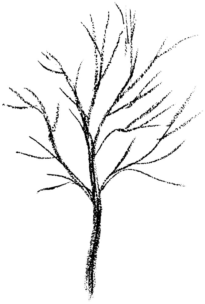 675x1000 20 Best Ava's Room Images On Fairy Silhouette