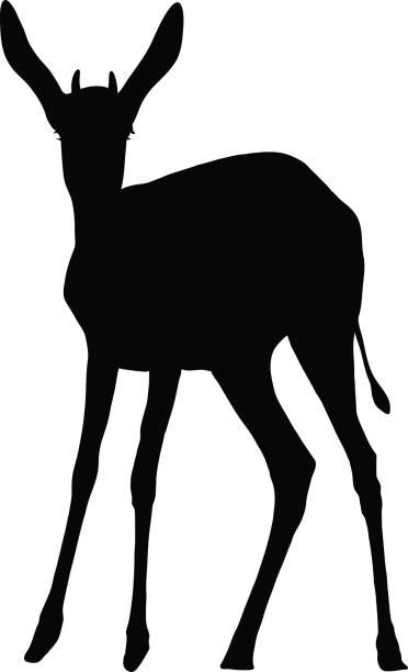 372x612 Springbok Clipart Dear Animal