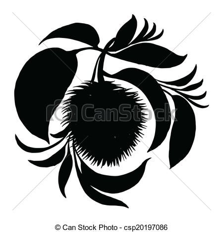 450x470 Decorative Silhouette Soursop With Leaves